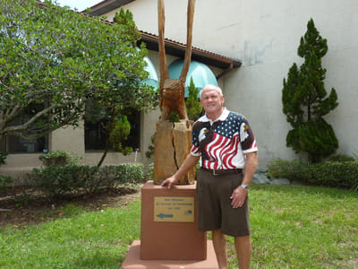 All American Air by Steve Chapman