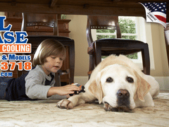 All-Phase Heating & Cooling