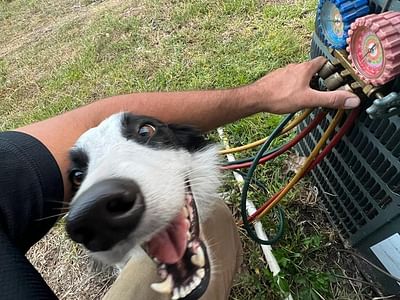 ALL QUALITY AIR & HEAT LLC