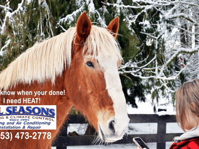 All Seasons Heating & Climate Control