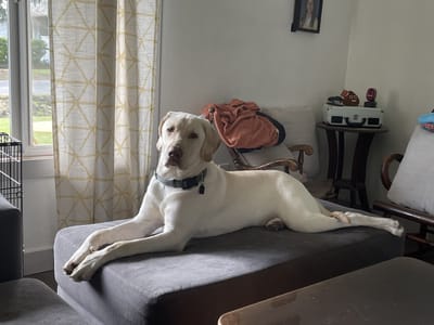 All Solutions Heating & Cooling