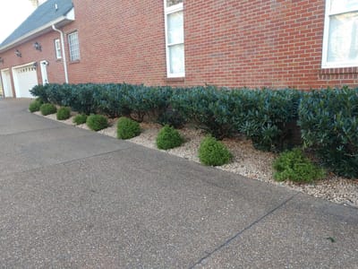 All Things Lawn Care and Home Maintenance