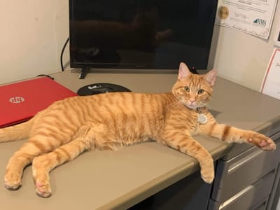 All Weather Heating & Cooling