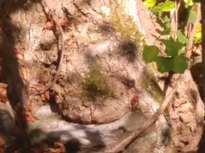 Allen's Heating & Air