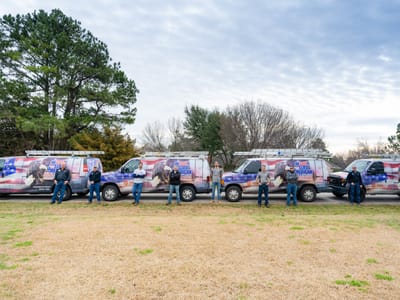 Allied American Air and Appliance