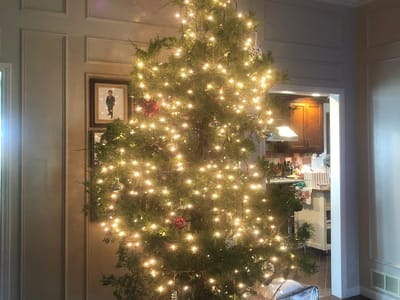 Alpha Air Systems Inc