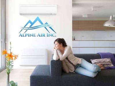 Alpine Air Inc.