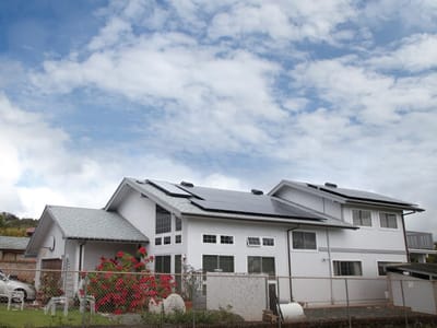 Alternate Energy Inc.