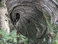 Always On Call Mountain Mechanical