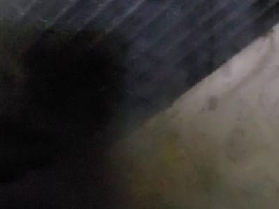 Amadeus Heating & Air