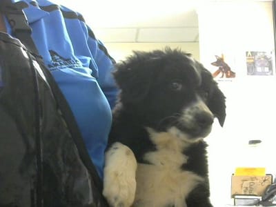 Amarillo Air Conditioning LLC