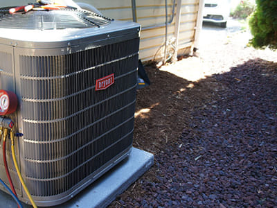 Ambassador Services Inc