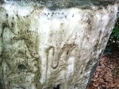 Ambrose Heating and Cooling