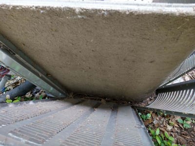 American Building Services