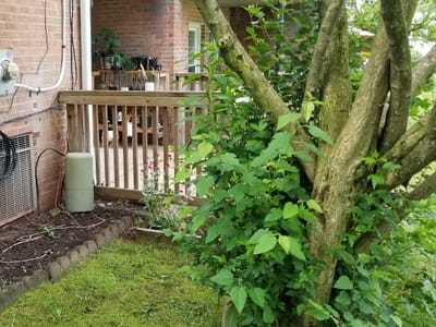 American Central Air LLC