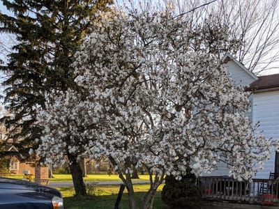 American Comfort Heating & Air Conditioning