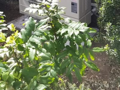 American Contracting Inc