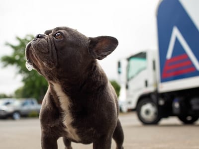 American Energy Heat & Air