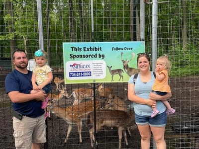 American Heating & Cooling