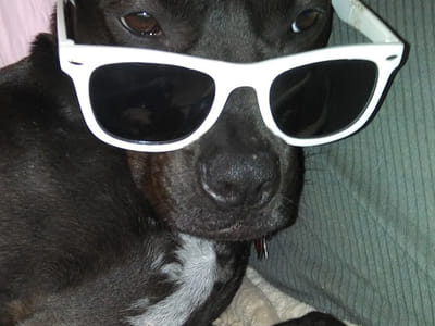 American Home Heating & Air Conditioning