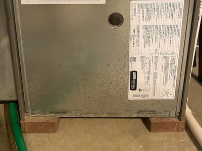 American Home Services