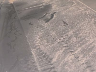 American Services Group LLC