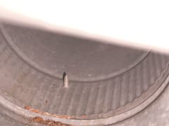 American Services Group LLC