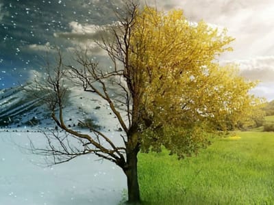 AMG Heating & Air Conditioning