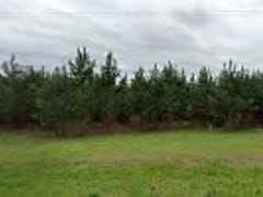 AMO Heating and Cooling