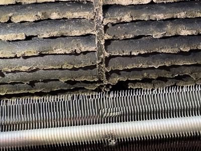 Any Temp Any Time, LLC