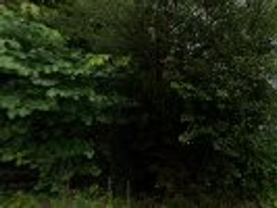 Apex Heating and Air Conditioning