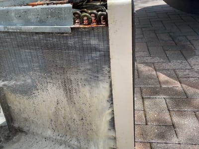 Apex innovation services