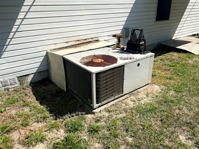 Apex innovation services