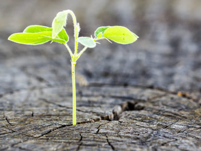 Arclight Hospice Inc