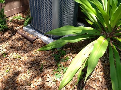 Arctic Air of Northern Florida