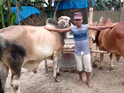 Arizona Cooling Company