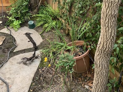 ARS/Rescue Rooter Heating Cooling Plumbing