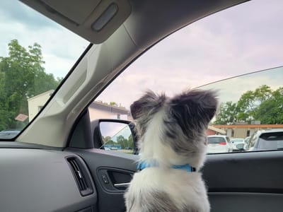 Arts Refrigeration Inc