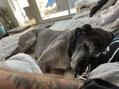 Assure Cool Air and Heat