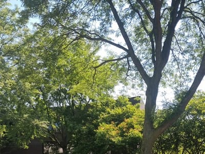 Atomatic Mechanical Services