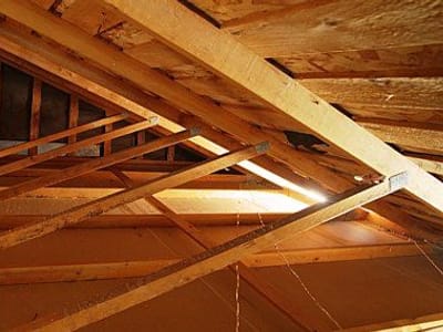 Attic & Crawl Space Cleaning