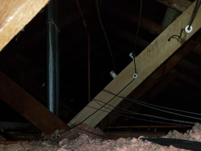 Attic & Crawl Space Cleaning