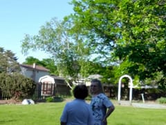 Autumn Air Heating & A/C