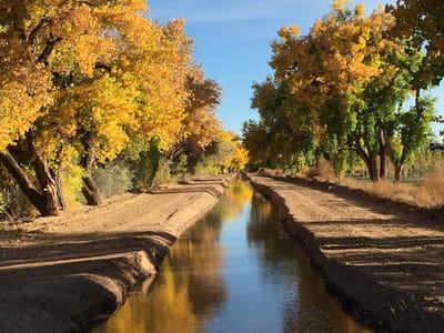 B. Carlson Heating, Air Conditioning & Plumbing