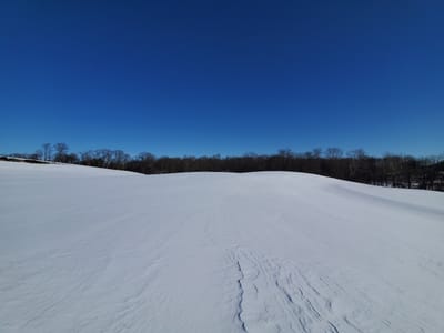 B G Mellinger & Son Inc.