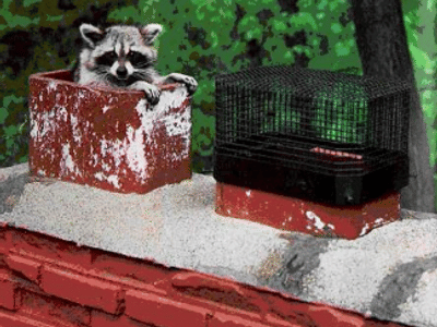 Baltimore's Heating & Cooling