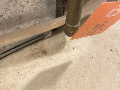 Bear Mountain Mechanical