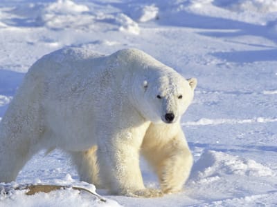 BeauSon A/C & Refrigeration