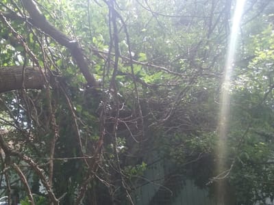 Beaver Heating & Air Conditioning