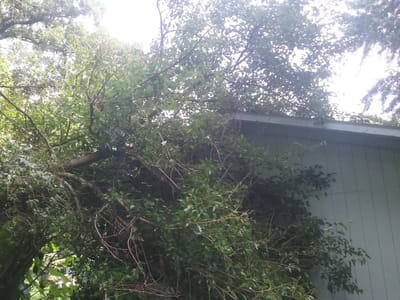 Beaver Heating & Air Conditioning